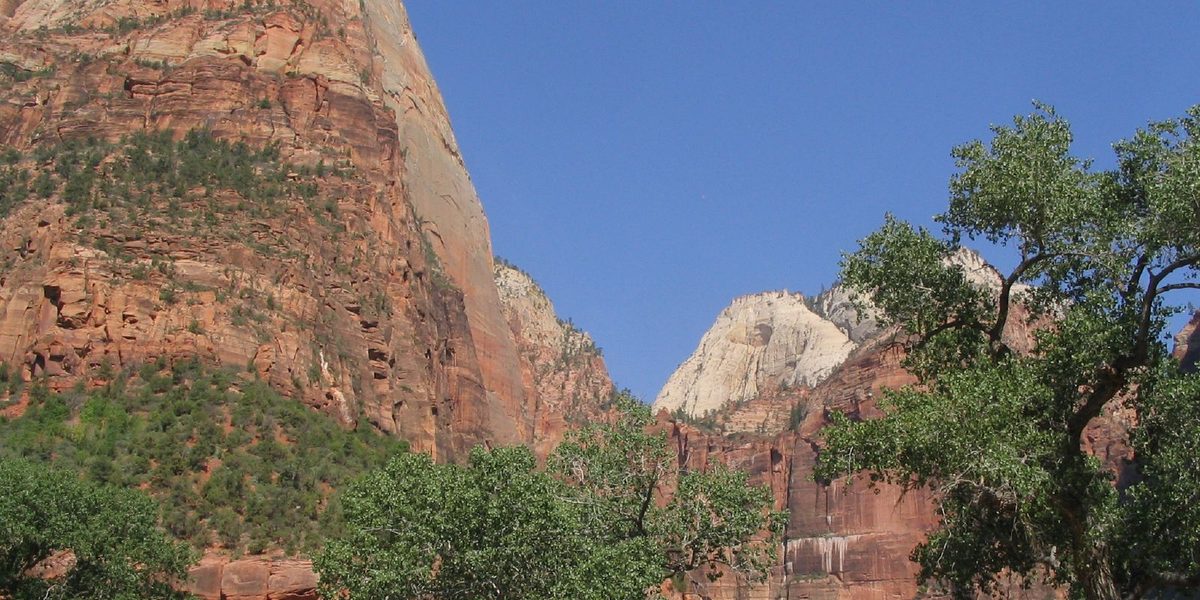Scenic Byways Worth the Slow Drive