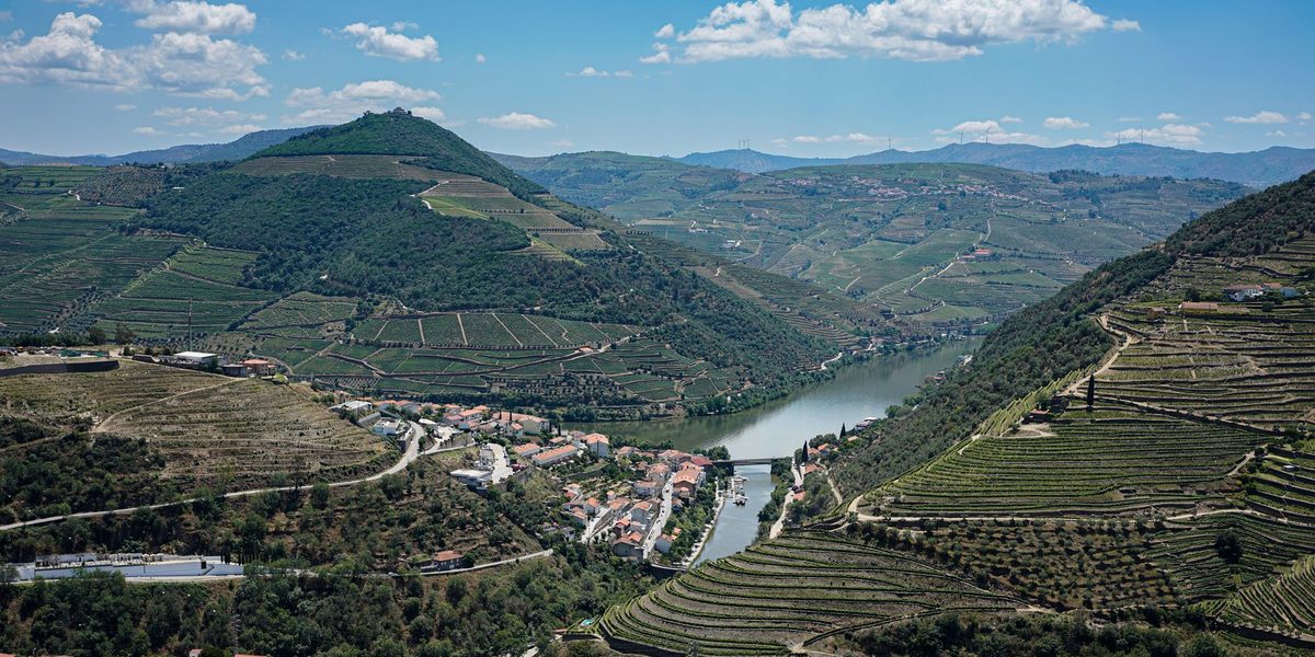 Wine and Orchard Country Escapes for a Slow Weekend