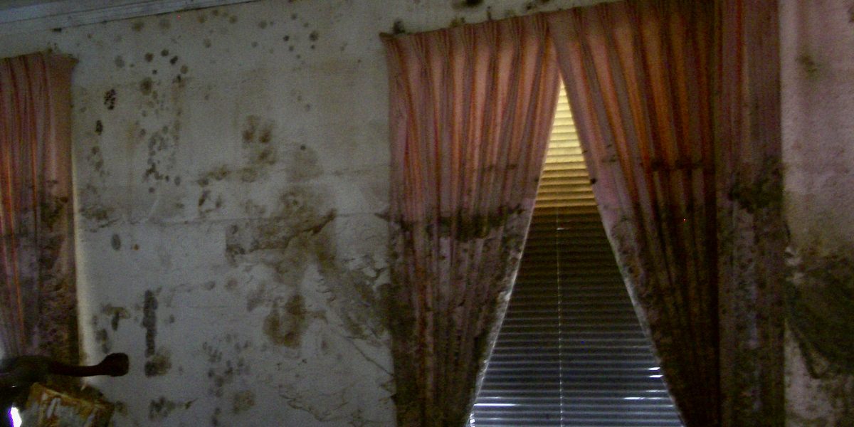 Window Treatment Basics, Room by Room